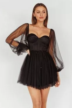 Angel Biba Fairytale Dream Sheer Sleeve Mini Dress Black