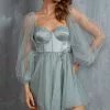 Angel Biba Fairytale Dream Sheer Sleeve Mini Dress Sage